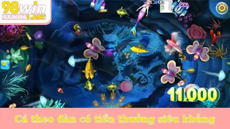 Cá theo đàn có tiền thưởng siêu khủng